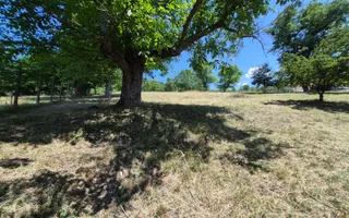 Casa individuala cu teren generos – 8.356 mp – Tichindeal, jud. Sibiu - Poză 48