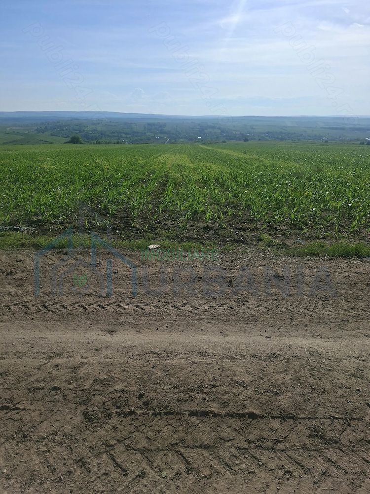 Teren de 6500 mp pentru construcție casă, Popesti - Poză 2