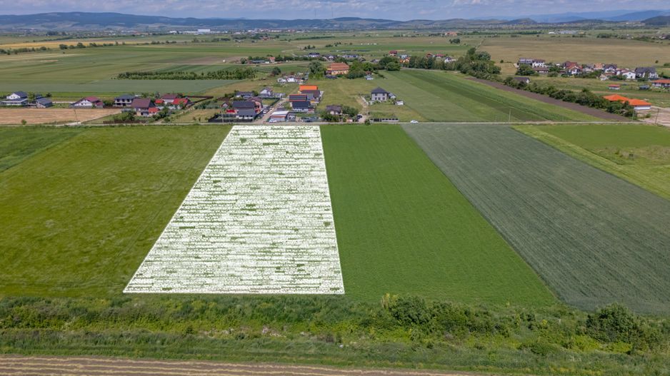 Teren 9.300 mp Stupini | Front 45.59 m la Asfalt | PUG Zonă L1c - Poză 3