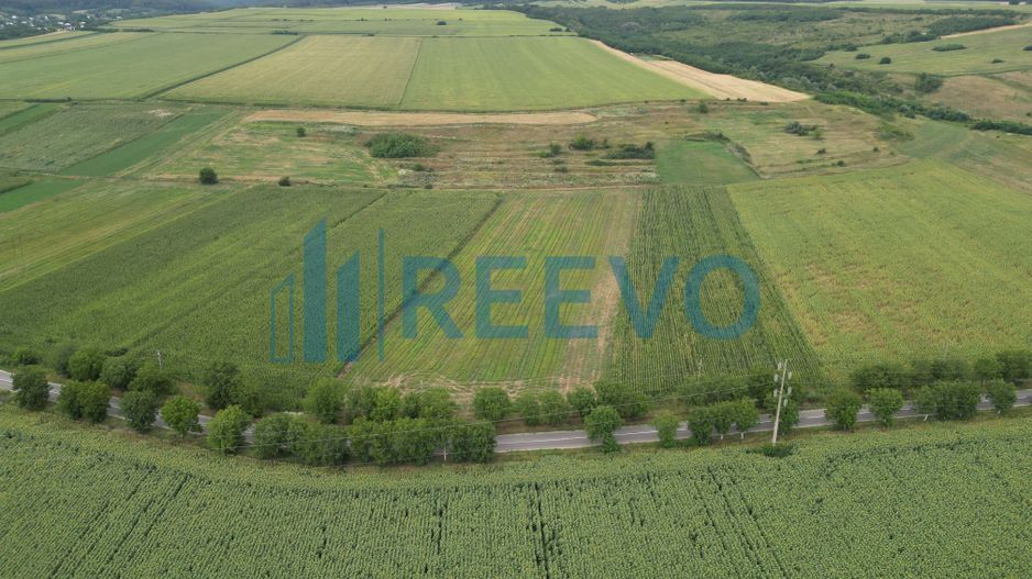 Teren de 4.400 mp Racova - Poză 5