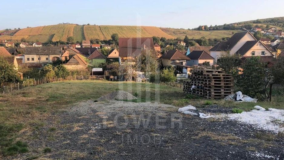 Teren de vanzare - 1000 mp - Sura Mare - Poză 1