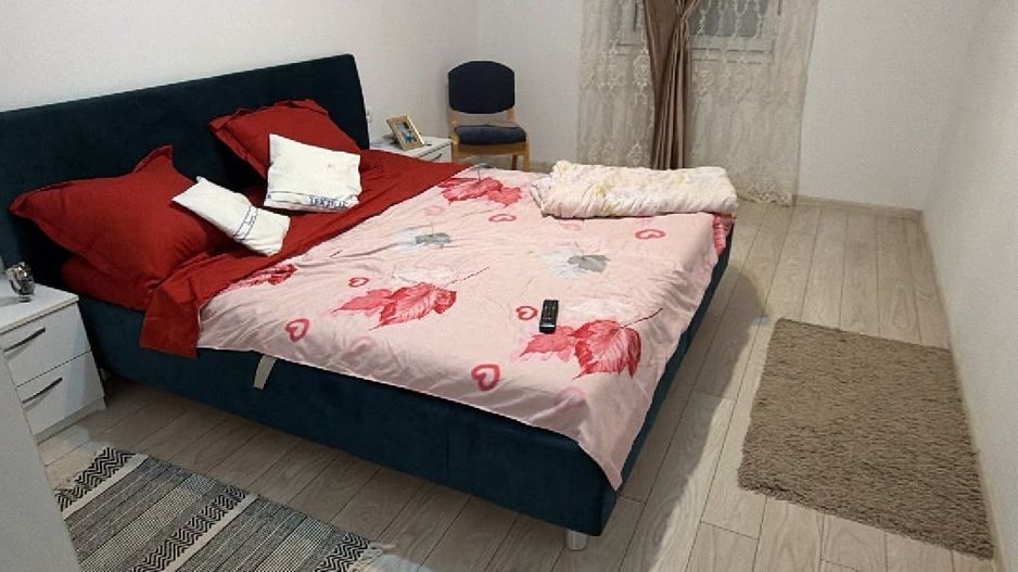 Sanandrei Casa Individuala Mobilata si Utilata, Panouri+Baterii - Poză 3