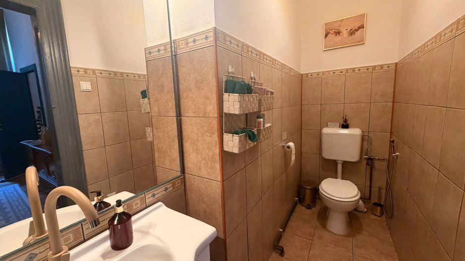 Apartament 5 camere  in vila - Zona Armeneasca - Poză 14