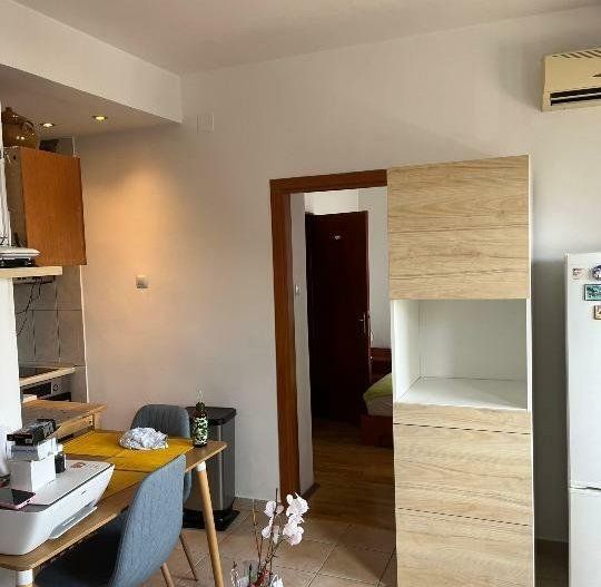 Apartament cochet 3 camere Gradina Botanica - Poză 1