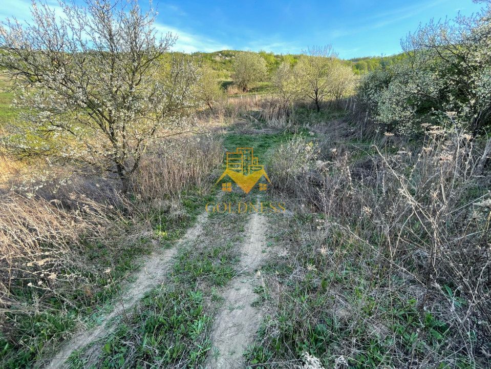 Tren Soporului Intravilan ,5500 MP Utilitati,  Oportunitate - Poză 10