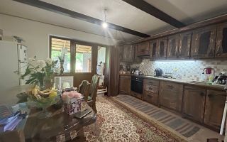 Casă Vilă de Vânzare în Comuna Balțata - Poză 23