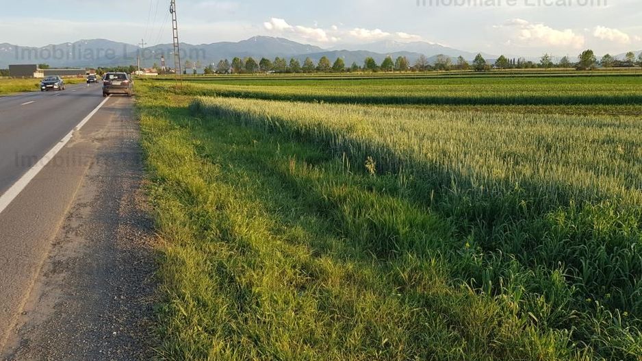 Teren Stupini Calea Feldioarei 4600 mp,22 euro/mp, front la asfalt - Poză 1