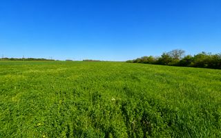 Teren agricol de 40 ari în Ghidighici – oportunitate pentru investiție sau activitate agricolă - Poză 2