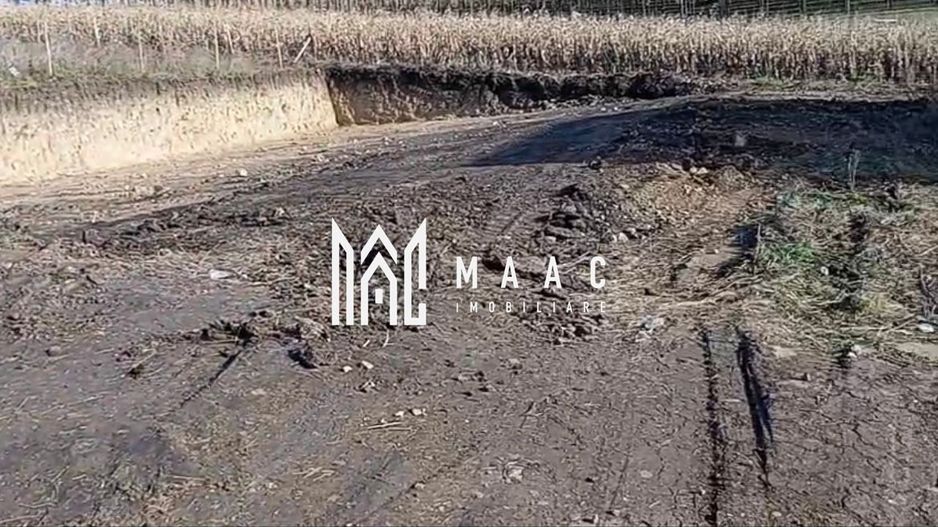 Teren 350 mp I Sura Mare I Autorizatie Casa Parter I Utilități - Poză 3