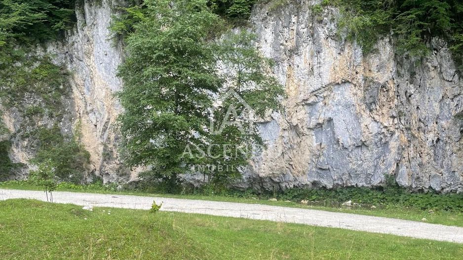 Teren pentru investiție turistică în Dâmbovicioara – Baranga | 4.500 mp | Front ~102 ml - Poză 16