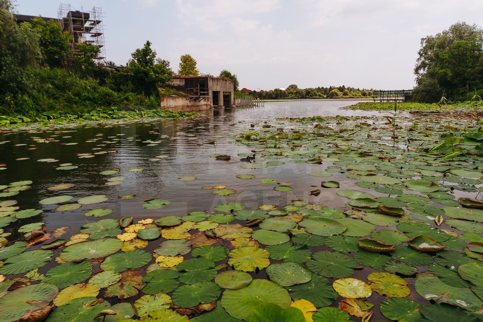 Casa cu piscina si iesire la lacul Snagov, 4 camere - Poză 6
