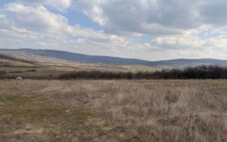 Teren intravilan Ciurea, Strada Ecoului, 758 mp, aprobat pentru construcție - Poză 2