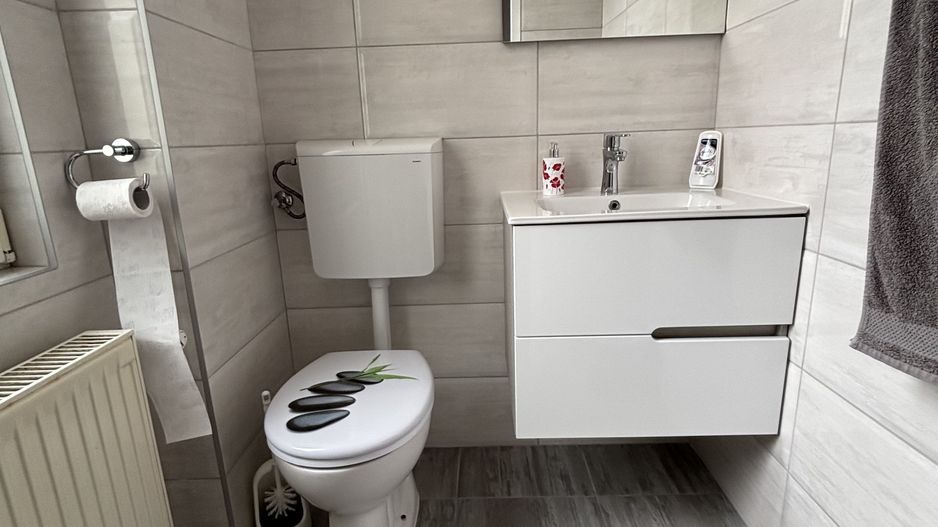 Vilă de închiriat zona Parvan - Poză 33