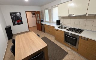 Apartament Calea Călărașilor // Decebal - Poză 5