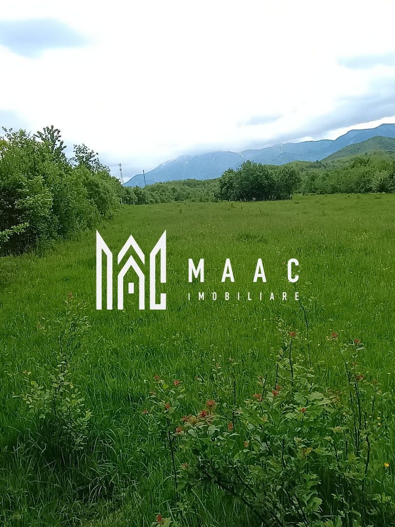 Teren 2000 mp | Sebeșu de Jos | Deschidere 25 ml | Utilități in proximitate - Poză 3