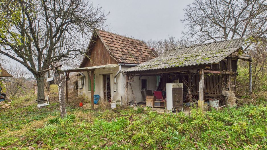 Casă 70 mp în Diosig, 1230 mp teren - Poză 3