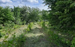 Teren intravilan de vanzare, 1.100 mp, intrare Chicerea, Iasi - Poză 1