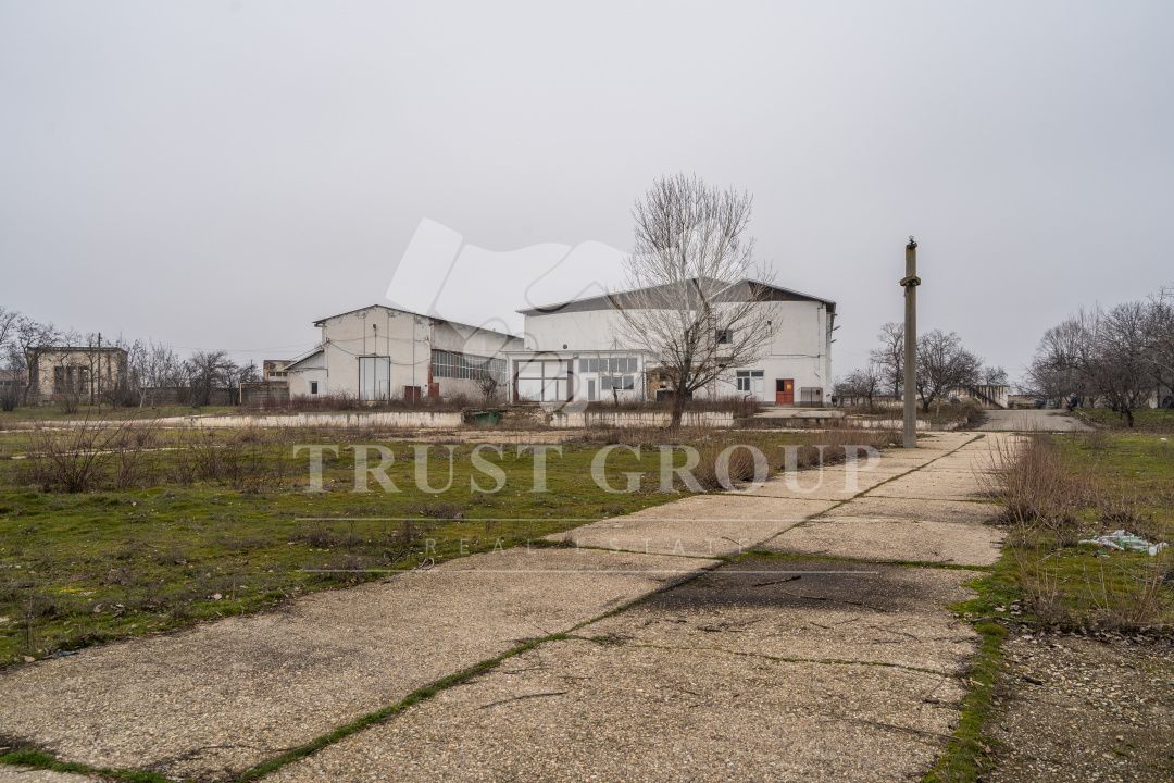 Teren 28.788m + Hale industriale + Sediu Firma - Poză 32