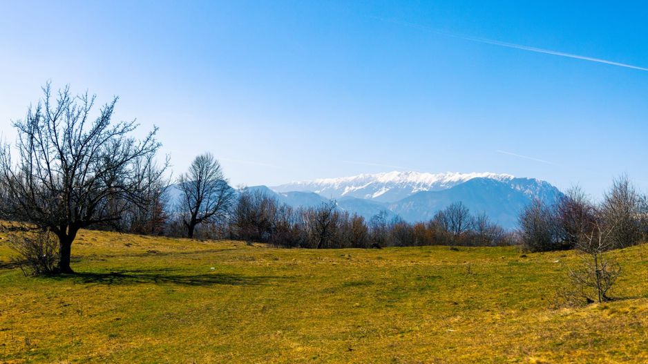 Teren 6 Hectare cu PUZ pentru Resort Turistic panorma Muntii Piatra Craiului - Poză 5