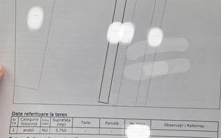 Teren extravilan Livada de Bihor - Poză 3