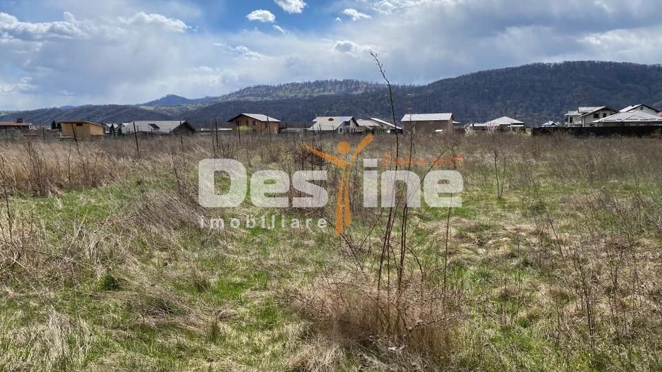 Teren de vanzare Dumbrava Rosie 30Euro/mp 900mp - Poză 13