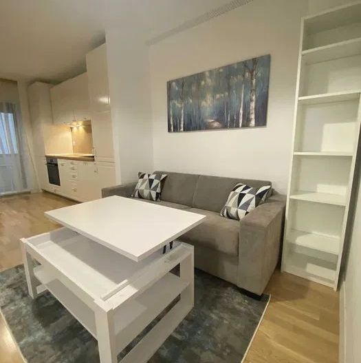 Apartament luminos Domenii - Poză 3