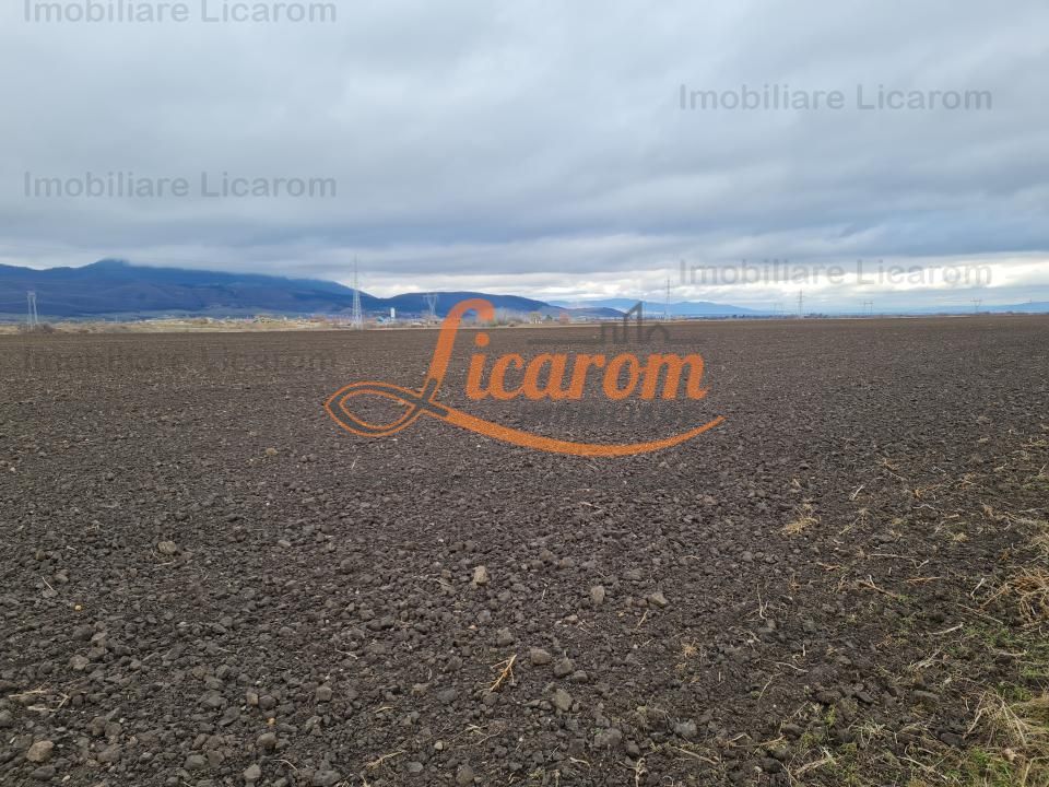 Teren extravilan 2,9 HA,intre Cristian si Vulcan - Poză 4