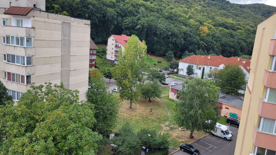 Apartament  3 camere Racadau - Poză 9