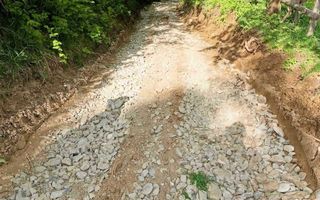 Teren 1.750 mp Bran – Poarta | Autorizație casă + anexă | Utilități complete - Poză 4