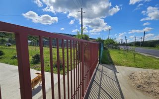 Proprietate deosebită de vânzare – Drăganu, Argeș - Poză 8