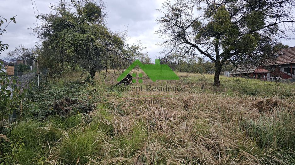 Vânzare teren intravilan 2800 mp – Baia Sprie, cartier de case - Poză 4