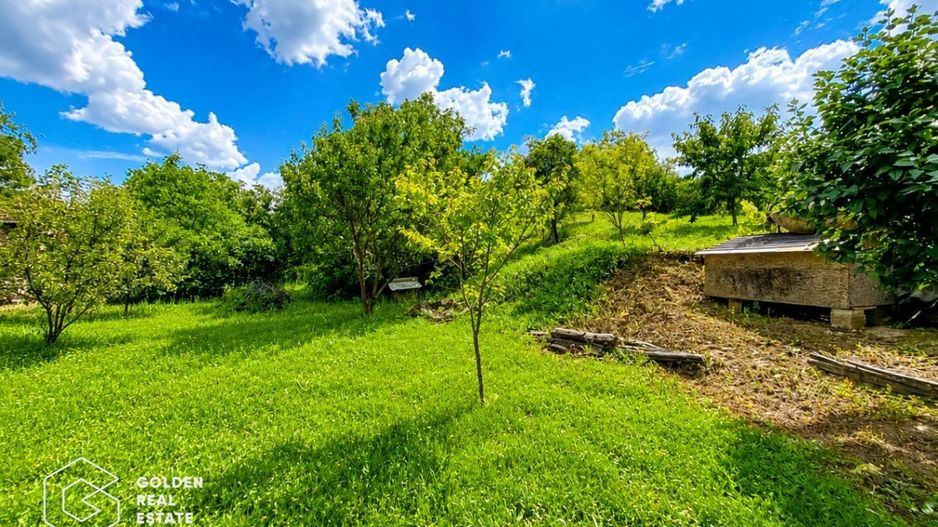 Casa P+M, teren 1440 mp, oras Lipova - Poză 3