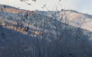 VILA 4 CAMERE, LERESTI, TEREN 3489 MP COMISION 0% CUMPARATOR - Poză 61