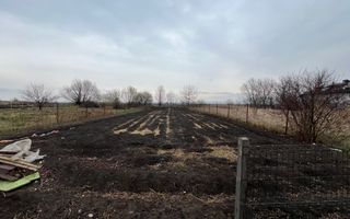 Vila 200Mp Utili | Calea Bucovinei | 16 Ari - Poză 16