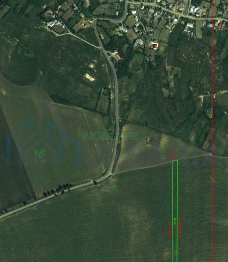 Vand reren Dumesti 5.000 mp - Poză 1