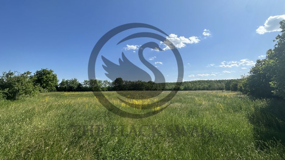 Teren Vanzare 11.000 MP Ghirdoveni | Comision 0% - Poză 10