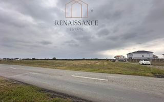 Mosnita Noua Teren 10.000mp | Front 63m | La asfalt - Zona de Case - Poză 2