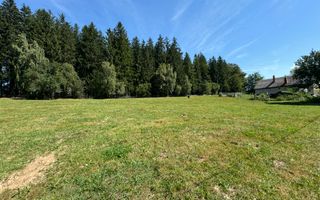 Platou montan, 6631 mp intravilan, electricitate,  langa pădure - Poză 4