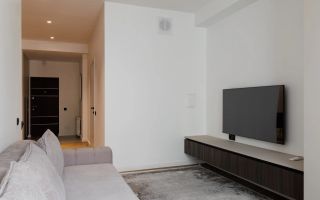 Chirie, apartament, 2 camere, str. Mitropolit  Varlaam, Centru - Poză 12