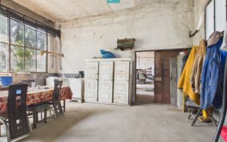 Complex industrial cu hale și teren  în Orțișoara - Poză 37