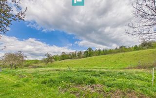 Casă cu teren de 17.681 mp, în loc. Hălmăgel, Arad - Poză 14
