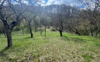 TEREN INTRAVILAN 4365 MP POENARII DE MUȘCEL  JUDEȚUL ARGES - Poză 24