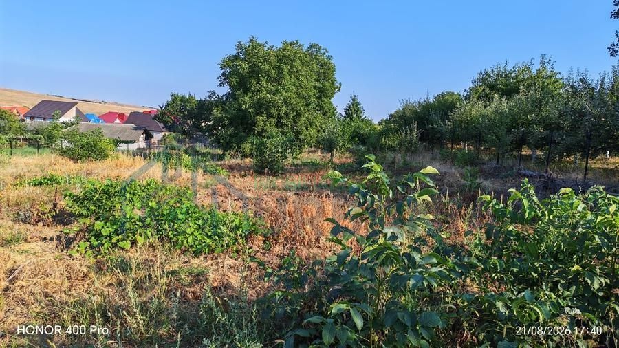 Teren intravilan de vânzare în Dealul Viilor, Hârlău - Poză 6