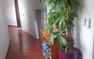 Vanzare garsoniera zona ultracentrala - Poză 10