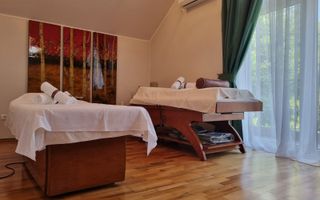 INCHIRIERE -2 VILE -ZONA MOGOSOAIA - Poză 69