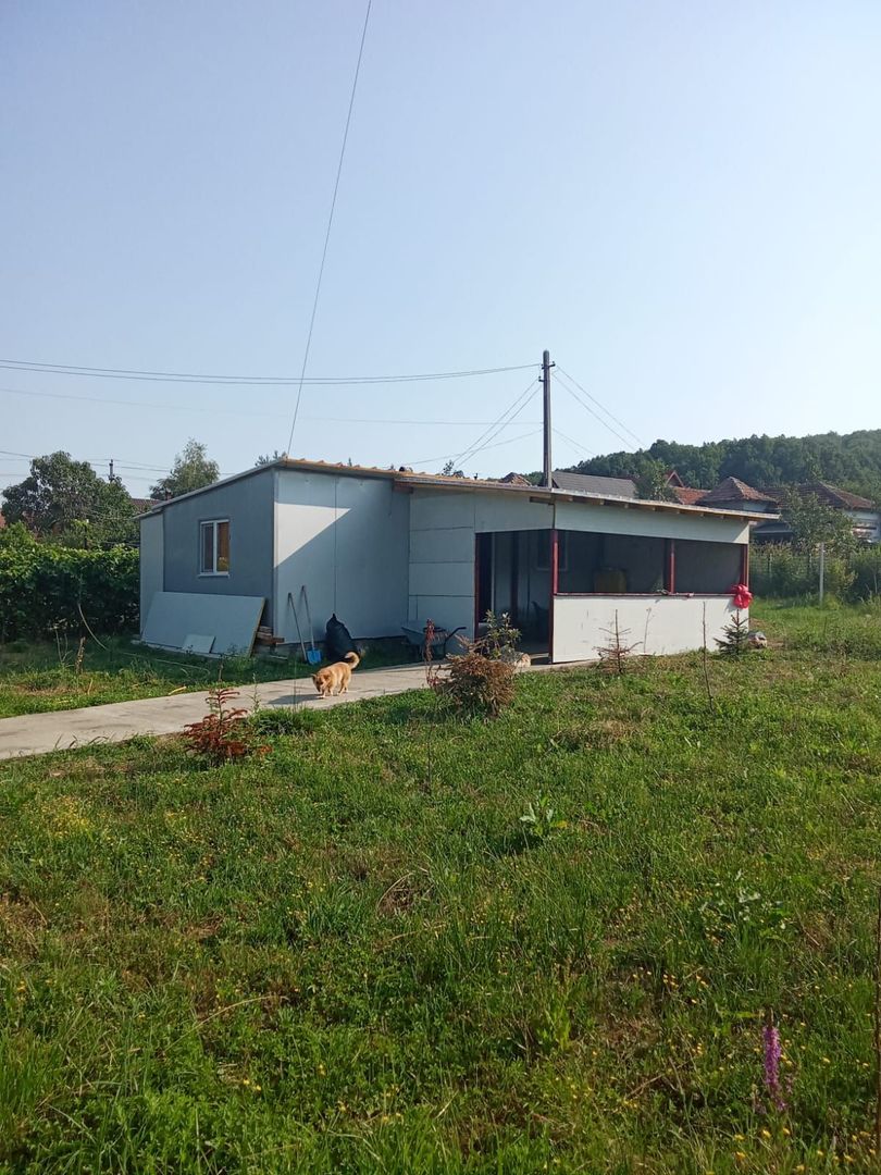 Proprietate deosebită de vânzare – Drăganu, Argeș - Poză 2