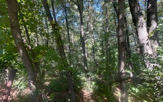 Duplex LUX***mobilat**3 camere**128 mp//View padure//Iancu Nicolae - Poză 45