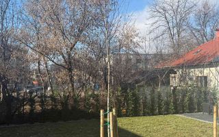 Oportunitate!Teren plus casa ultracentral!! - Poză 5