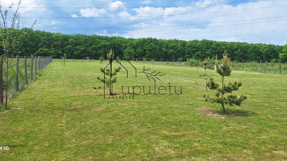Teren Extravilan | 2.000 MPU | Intabulat | Zonă liniștită - Poză 6