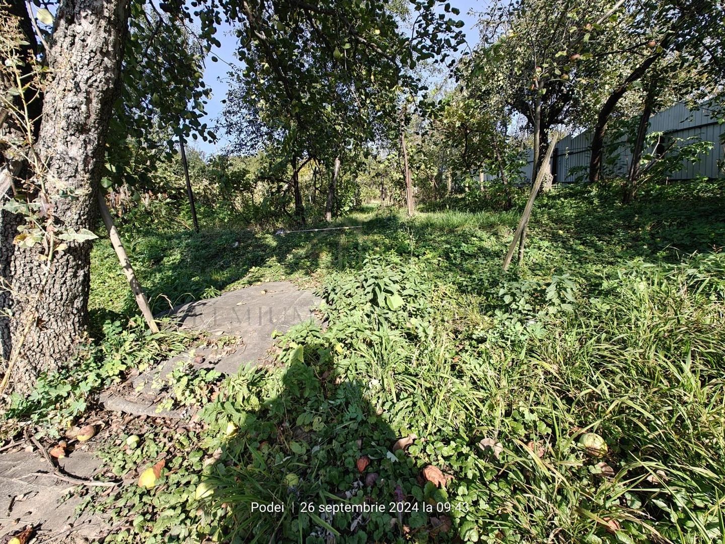 Casa si teren de vanzare Comanesti - Poză 12